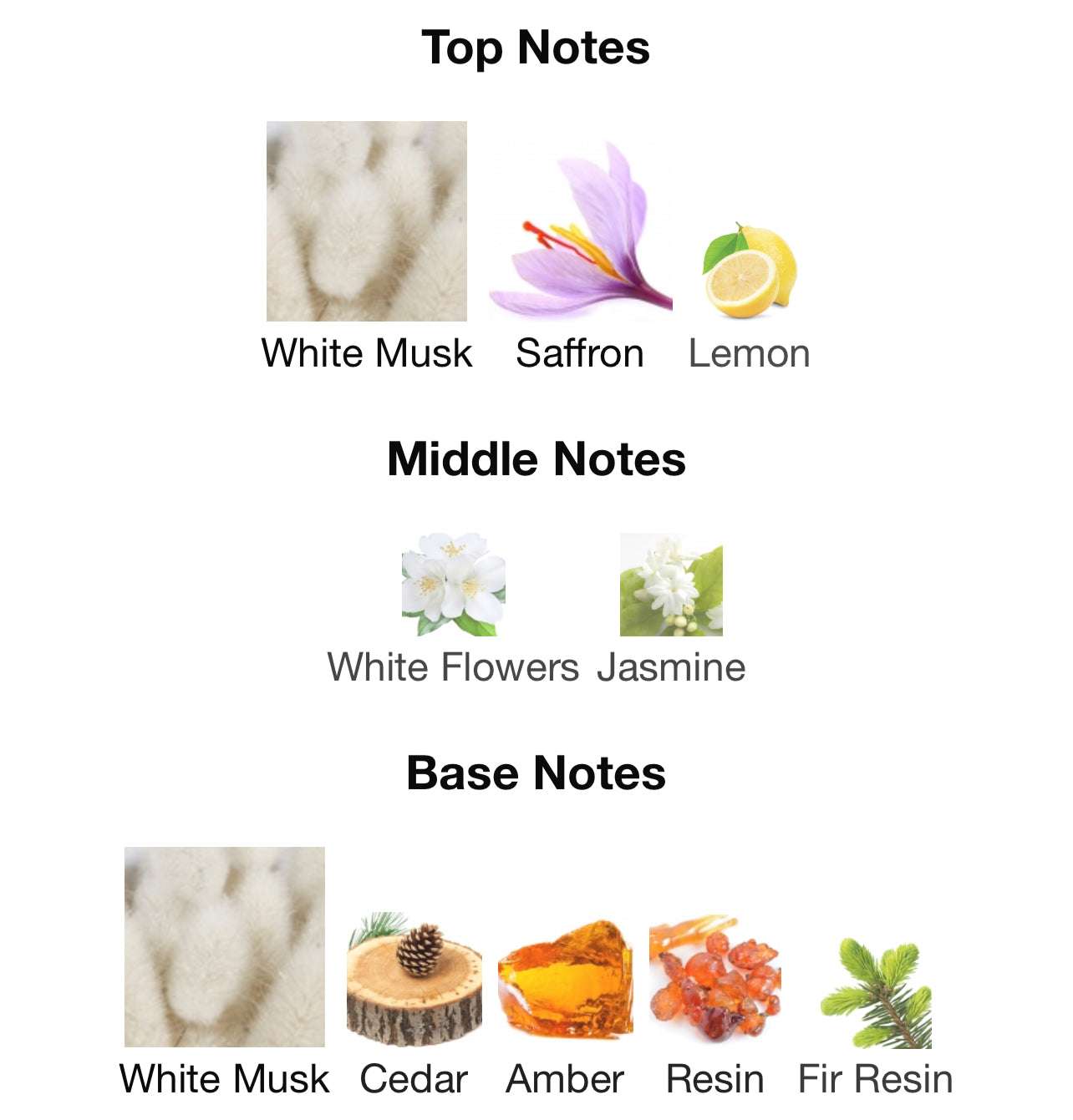 Opulent Musk - المسك الفخم