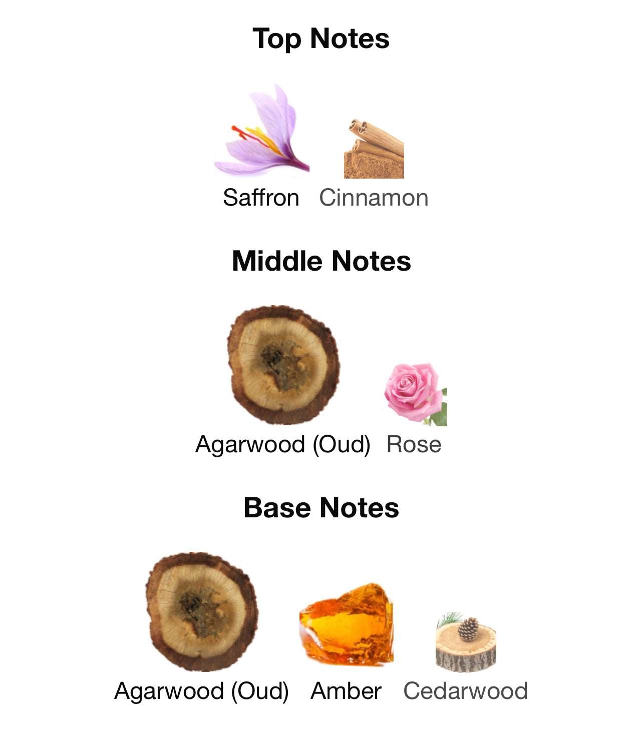 Opulent Oud Unisex - العود الفاخر للجنسين