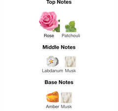 Velvet Rose- فلفت روز