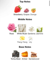 Ameerat Al Arab - أميرة العرب روز