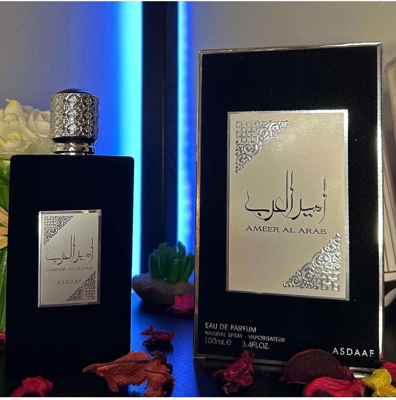 Ameer Al Arab - امير العرب و اميرة العرب
