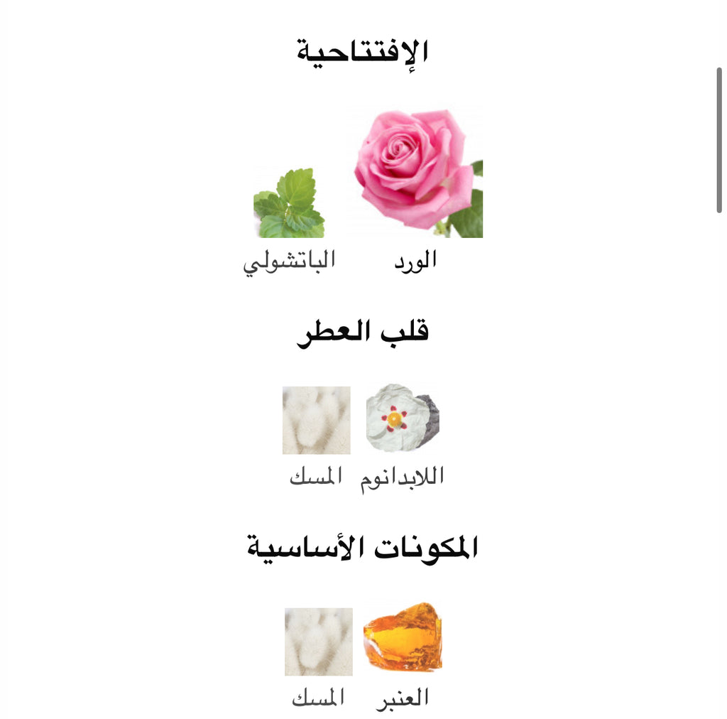 Velvet Rose- فلفت روز
