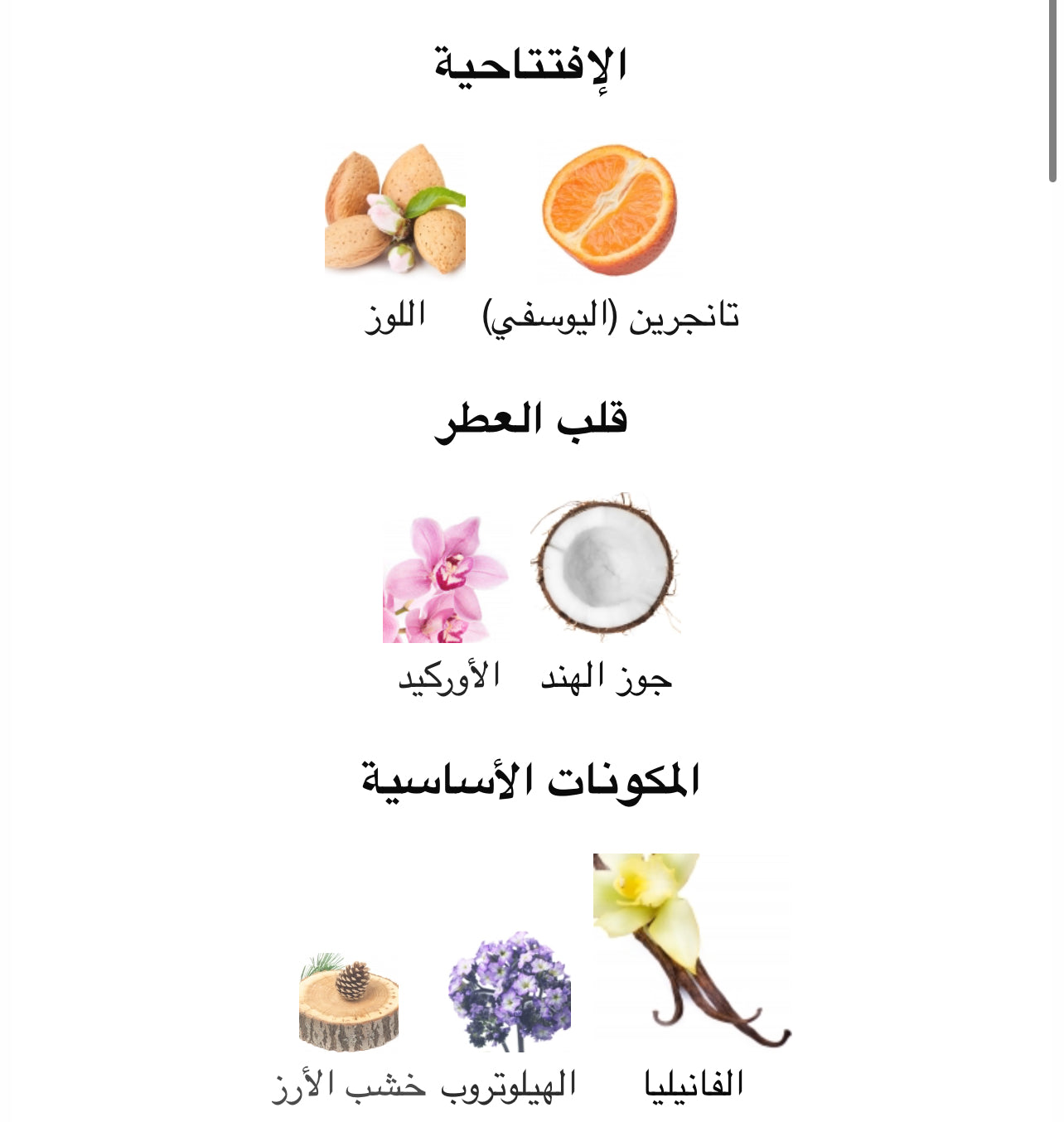 Shafaq - شفق