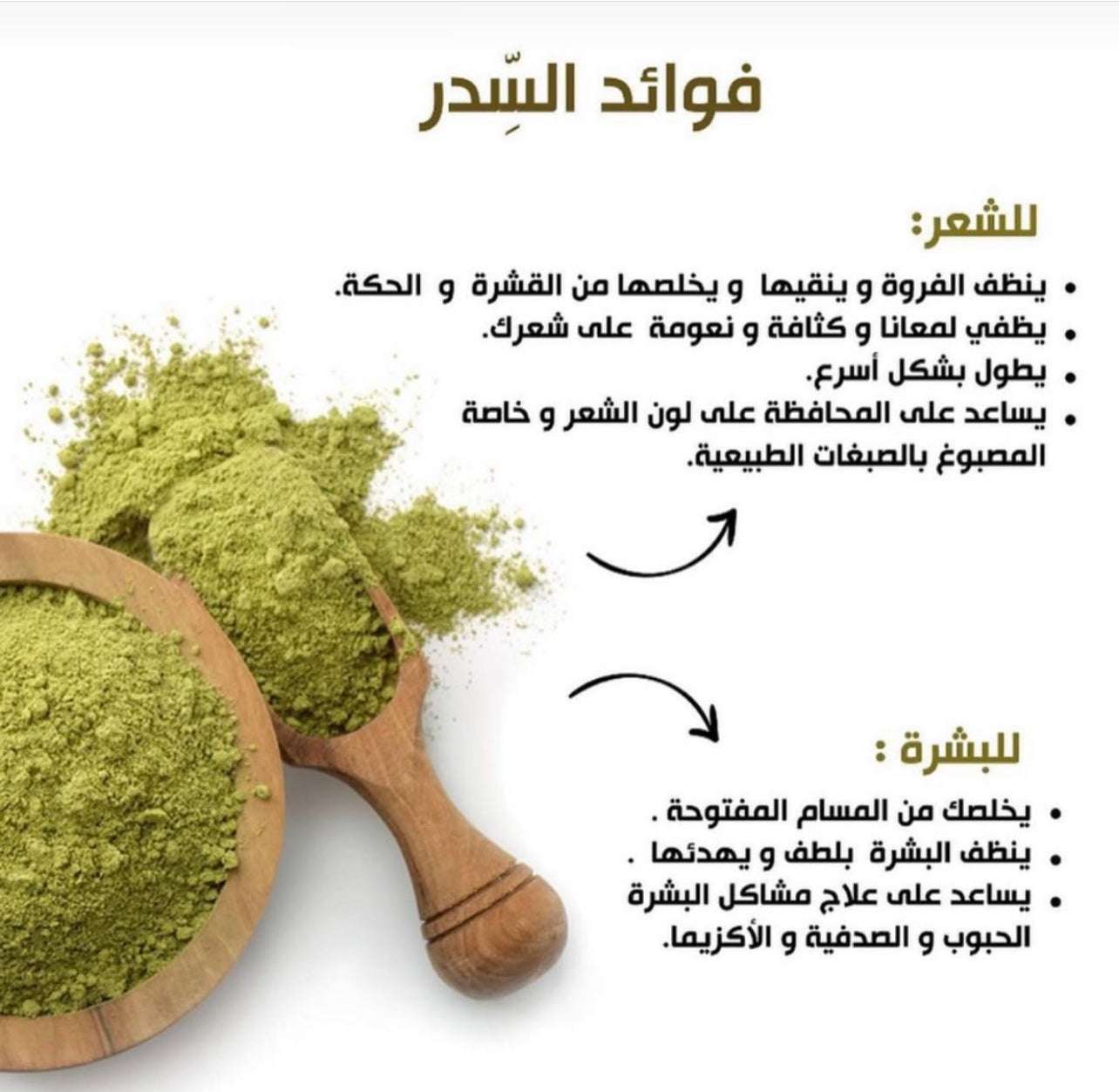 عشبة السدر المغربية – لتقوية وتكثيف الشعر طبيعيًا.
