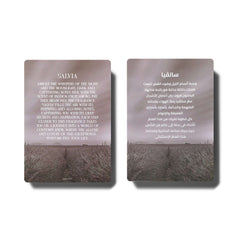 Salvia Eau De Parfum - - عطر سالفيا المركز -